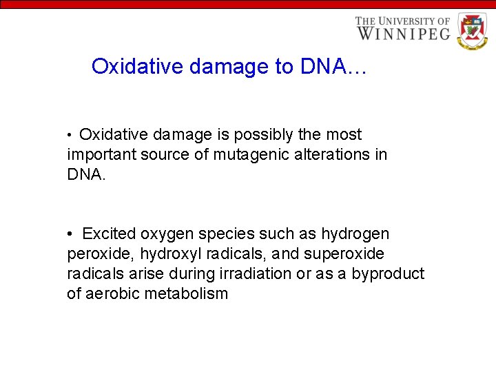 Oxidative damage to DNA… • Oxidative damage is possibly the most important source of