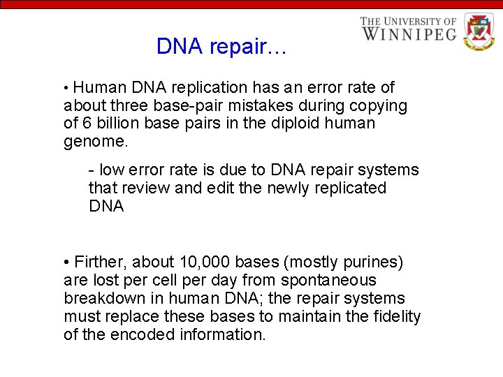 DNA repair… • Human DNA replication has an error rate of about three base-pair