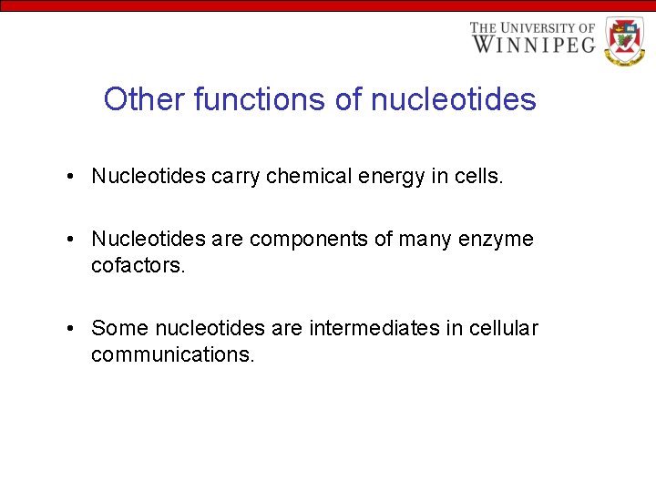 Other functions of nucleotides • Nucleotides carry chemical energy in cells. • Nucleotides are