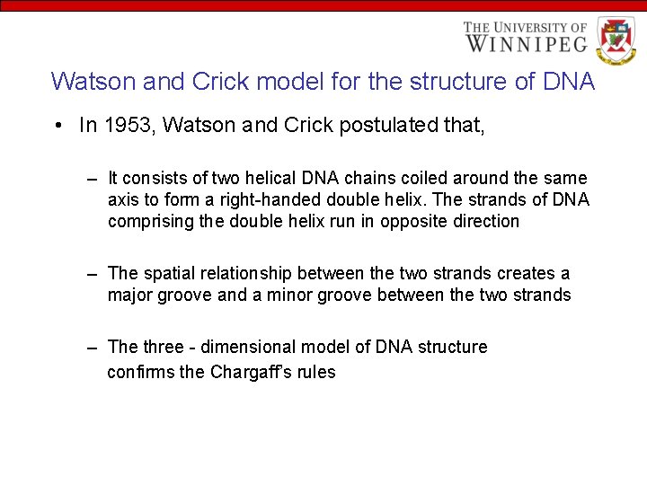 Watson and Crick model for the structure of DNA • In 1953, Watson and