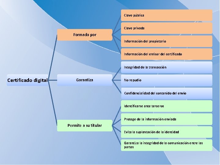 Clave pública Clave privada Formado por Información del propietario Información del emisor del certificado