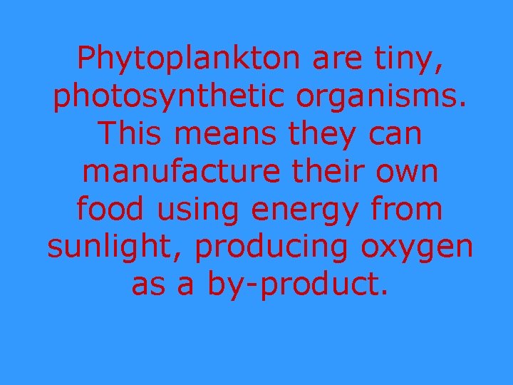 Phytoplankton are tiny, photosynthetic organisms. This means they can manufacture their own food using