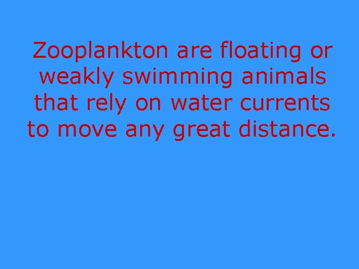 Zooplankton are floating or weakly swimming animals that rely on water currents to move