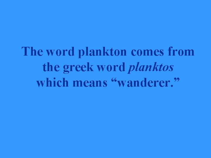 The word plankton comes from the greek word planktos which means “wanderer. ” 