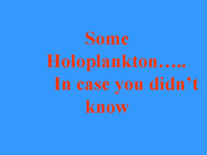 Some Holoplankton…. . In case you didn’t know 