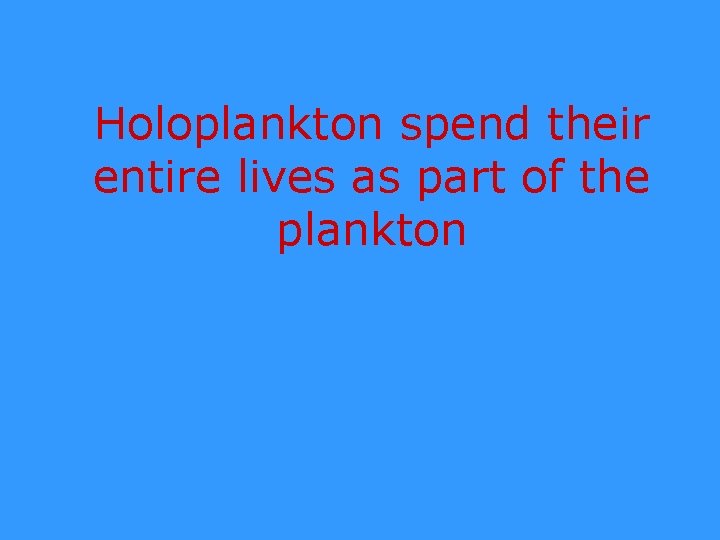 Holoplankton spend their entire lives as part of the plankton 