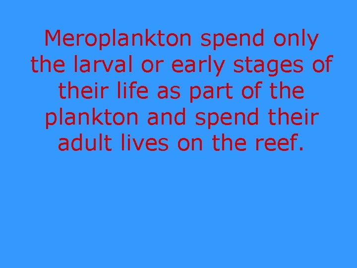 Meroplankton spend only the larval or early stages of their life as part of