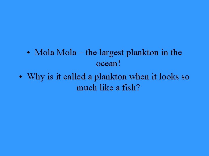  • Mola – the largest plankton in the ocean! • Why is it