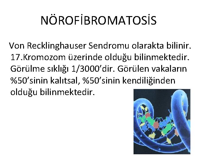 NÖROFİBROMATOSİS Von Recklinghauser Sendromu olarakta bilinir. 17. Kromozom üzerinde olduğu bilinmektedir. Görülme sıklığı 1/3000’dir.