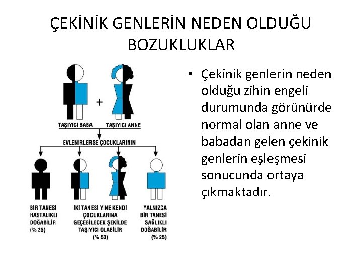 ÇEKİNİK GENLERİN NEDEN OLDUĞU BOZUKLUKLAR • Çekinik genlerin neden olduğu zihin engeli durumunda görünürde