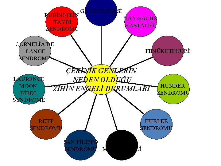 RUBİNSTEİN TAYBİ SENDROMU GALACTOMESİ TAY-SACHS HASTALIĞI CORNELİA DE LANGE SENDROMU LAURENCE MOON BİEDL SYNDROME