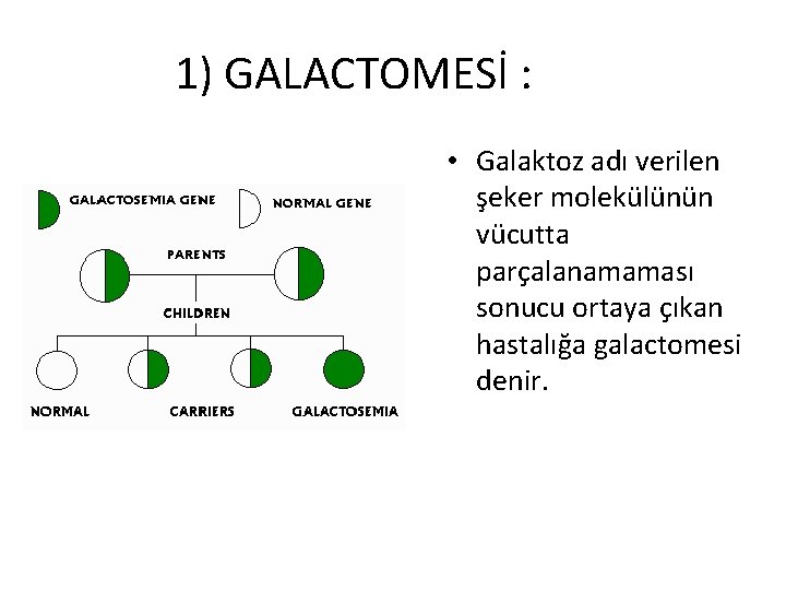 1) GALACTOMESİ : • Galaktoz adı verilen şeker molekülünün vücutta parçalanamaması sonucu ortaya çıkan