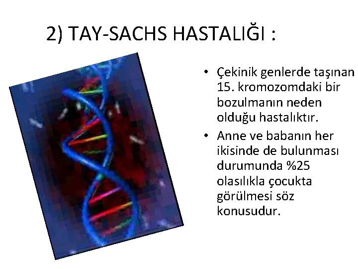 2) TAY-SACHS HASTALIĞI : • Çekinik genlerde taşınan 15. kromozomdaki bir bozulmanın neden olduğu