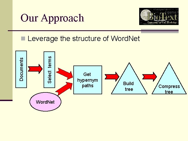Our Approach Select terms Documents n Leverage the structure of Word. Net Get hypernym