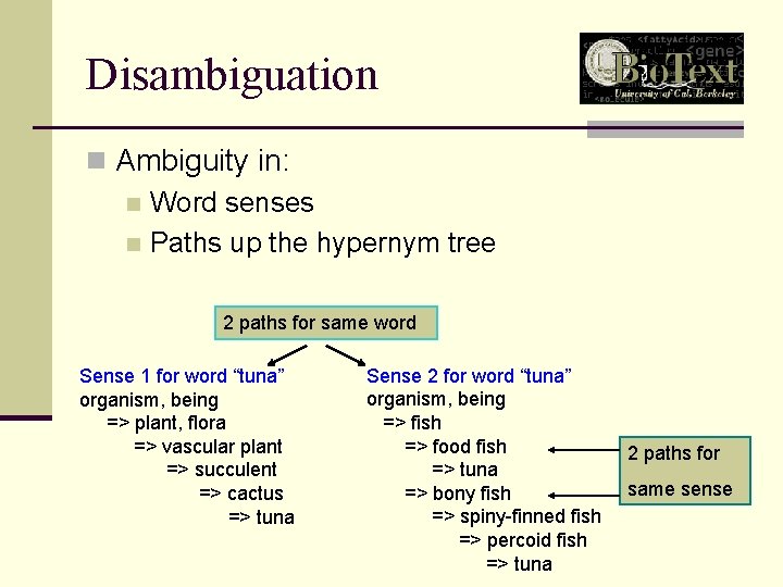 Disambiguation n Ambiguity in: n Word senses n Paths up the hypernym tree 2