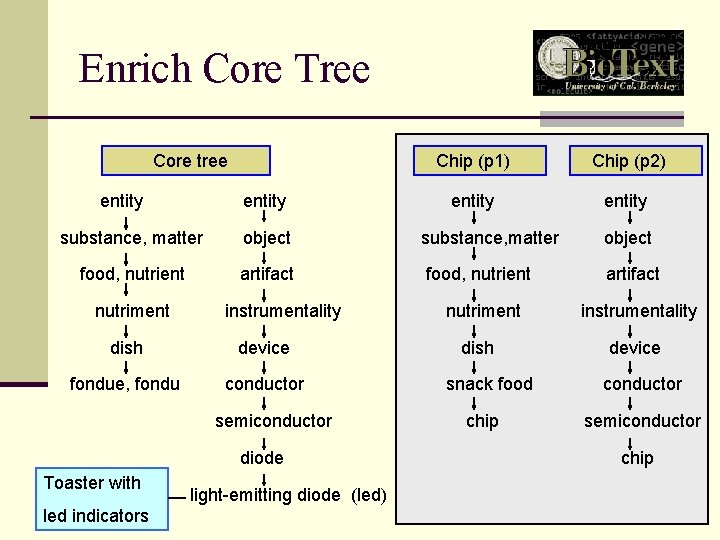 Enrich Core Tree Core tree entity Chip (p 1) Chip (p 2) entity substance,