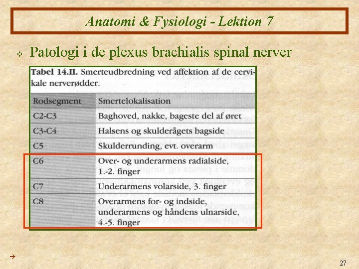 Anatomi & Fysiologi - Lektion 7 v Patologi i de plexus brachialis spinal nerver