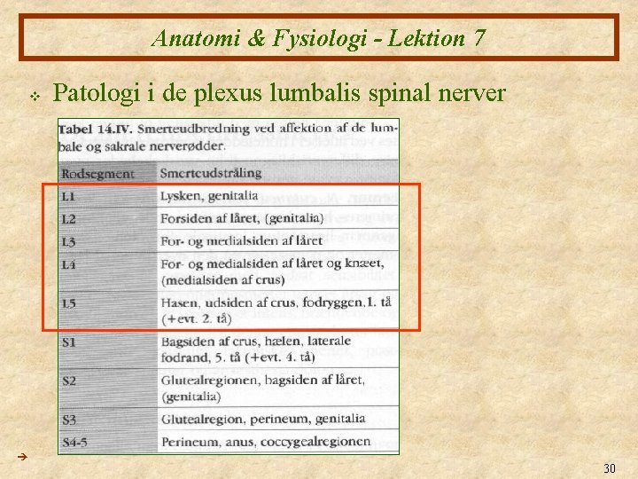 Anatomi & Fysiologi - Lektion 7 v Patologi i de plexus lumbalis spinal nerver