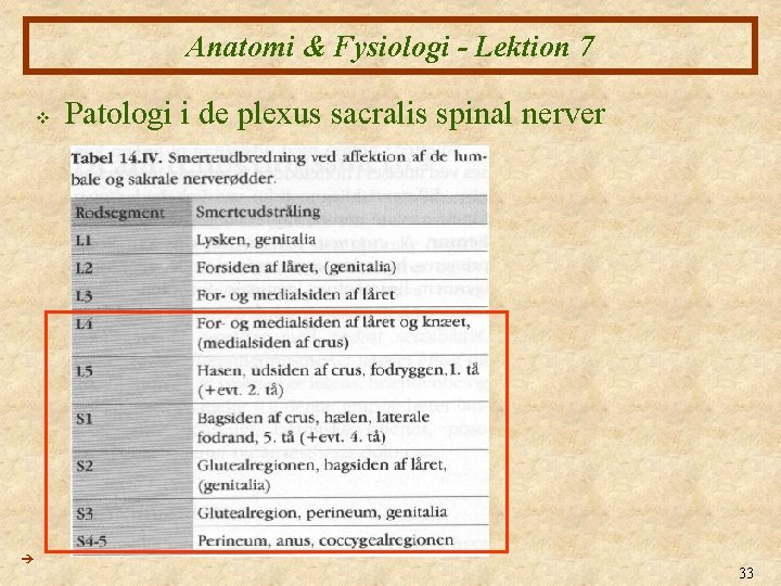 Anatomi & Fysiologi - Lektion 7 v Patologi i de plexus sacralis spinal nerver