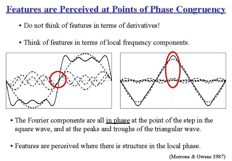 Features are Perceived at Points of Phase Congruency • Do not think of features