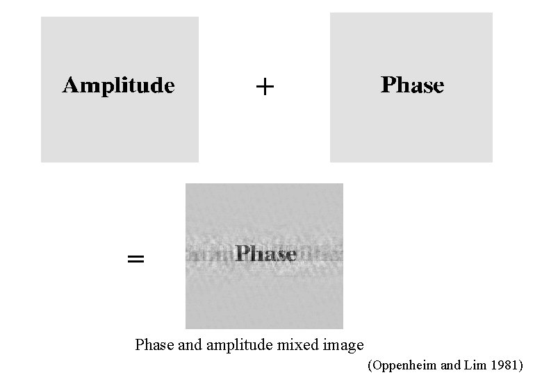 + = Phase and amplitude mixed image (Oppenheim and Lim 1981) 