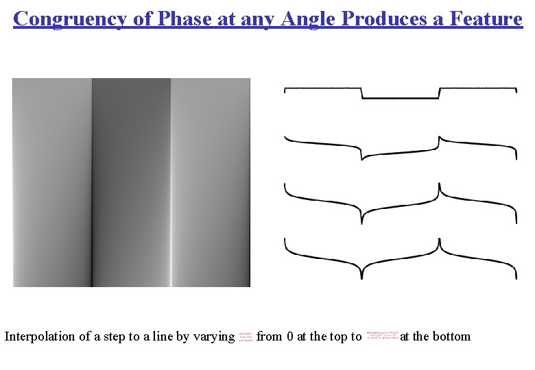 Congruency of Phase at any Angle Produces a Feature Interpolation of a step to