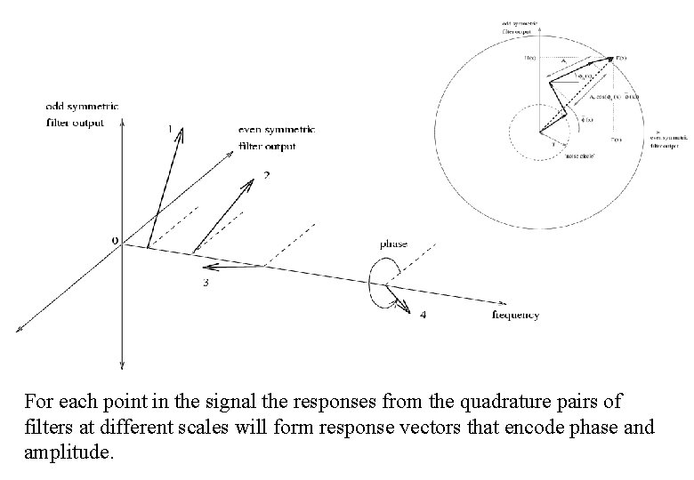 For each point in the signal the responses from the quadrature pairs of filters