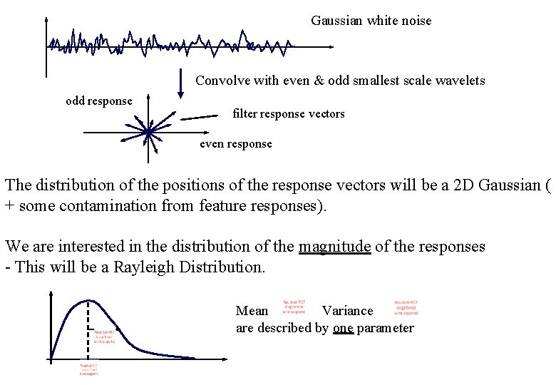 Gaussian white noise Convolve with even & odd smallest scale wavelets odd response filter