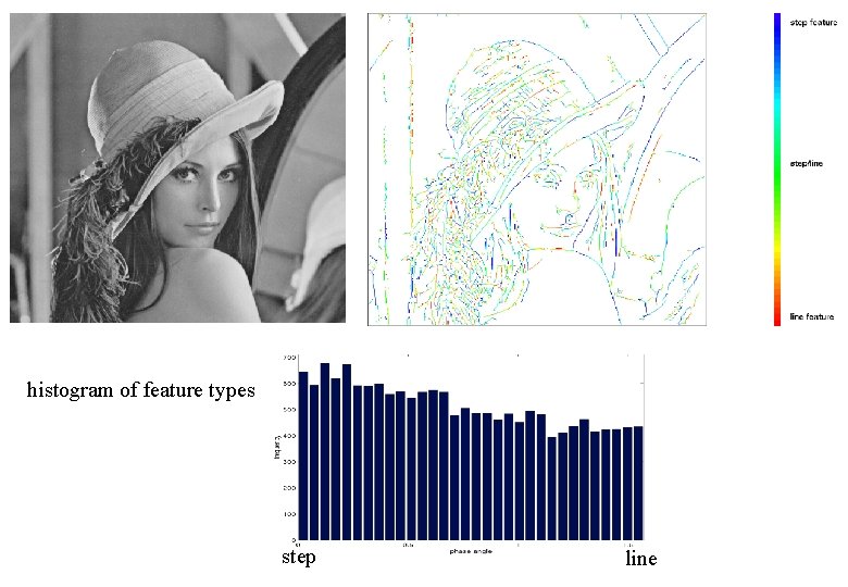 histogram of feature types step line 