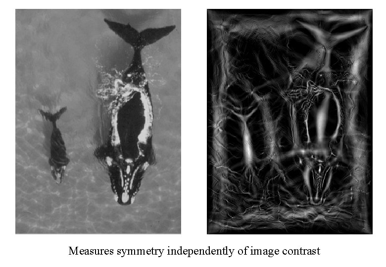 Measures symmetry independently of image contrast 