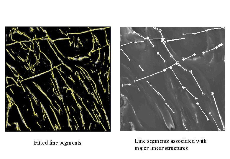 Fitted line segments Line segments associated with major linear structures 