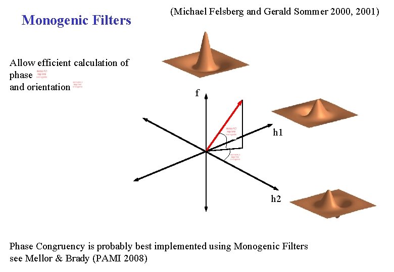 Monogenic Filters Allow efficient calculation of phase and orientation (Michael Felsberg and Gerald Sommer
