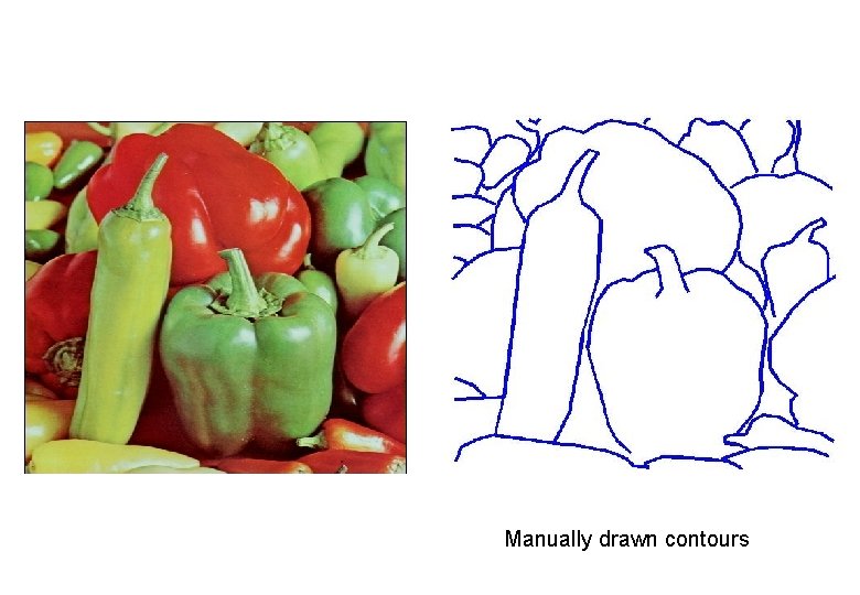 Manually drawn contours 
