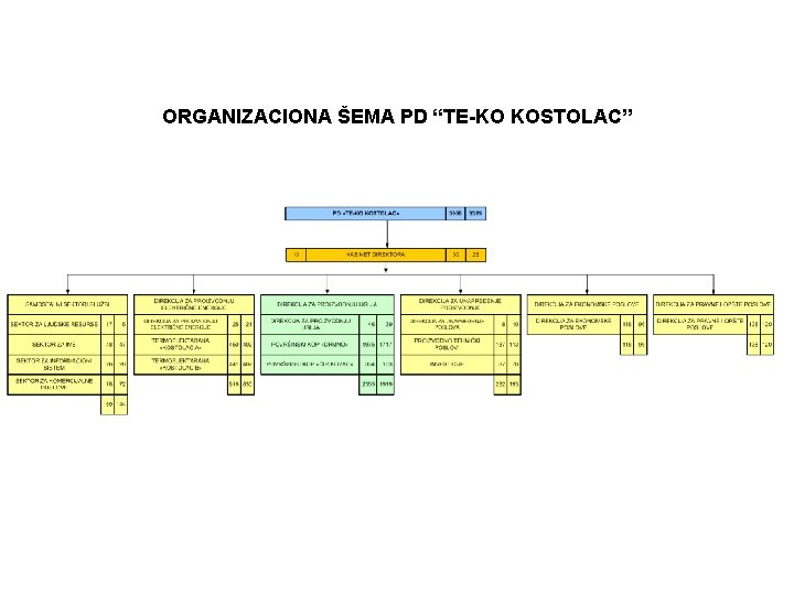 ORGANIZACIONA ŠEMA PD “TE-KO KOSTOLAC” 