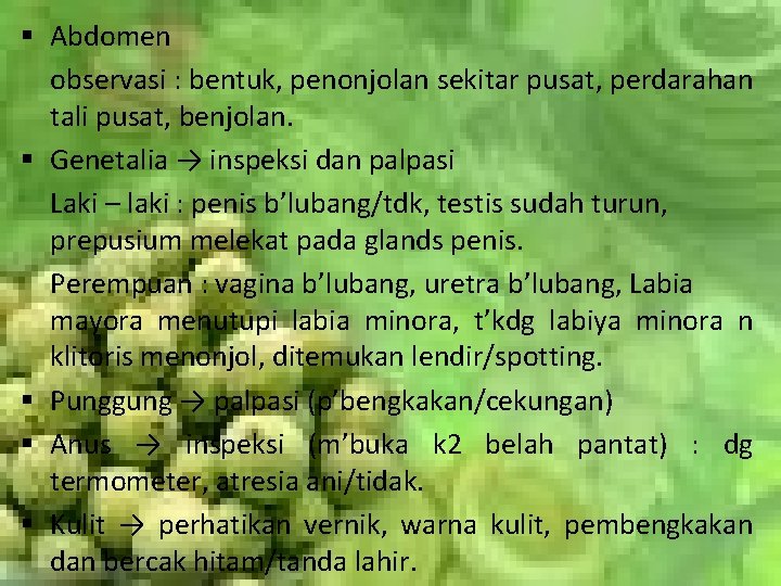 § Abdomen observasi : bentuk, penonjolan sekitar pusat, perdarahan tali pusat, benjolan. § Genetalia