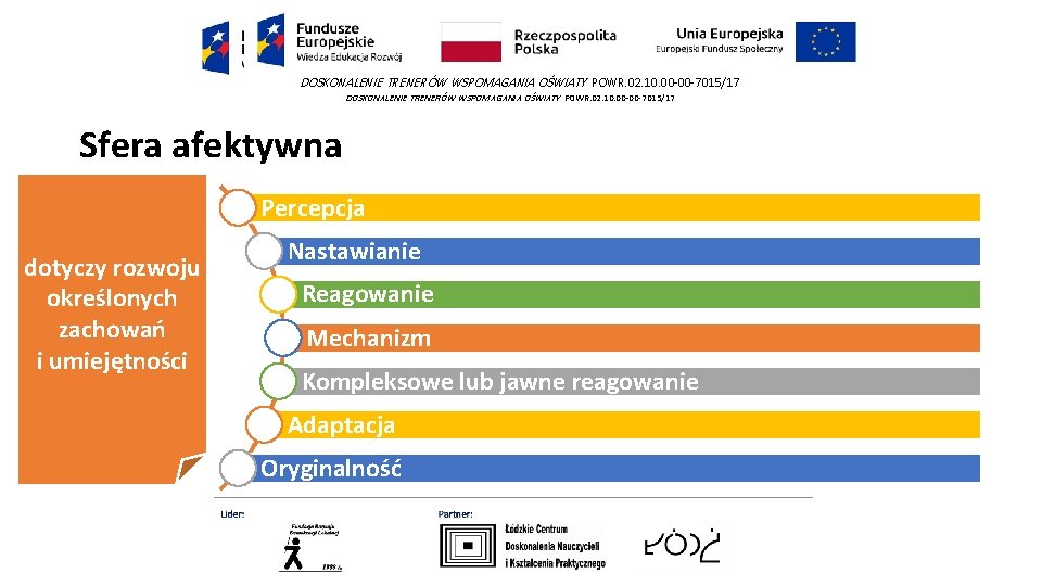 DOSKONALENIE TRENERÓW WSPOMAGANIA OŚWIATY POWR. 02. 10. 00 -00 -7015/17 Sfera afektywna Percepcja dotyczy