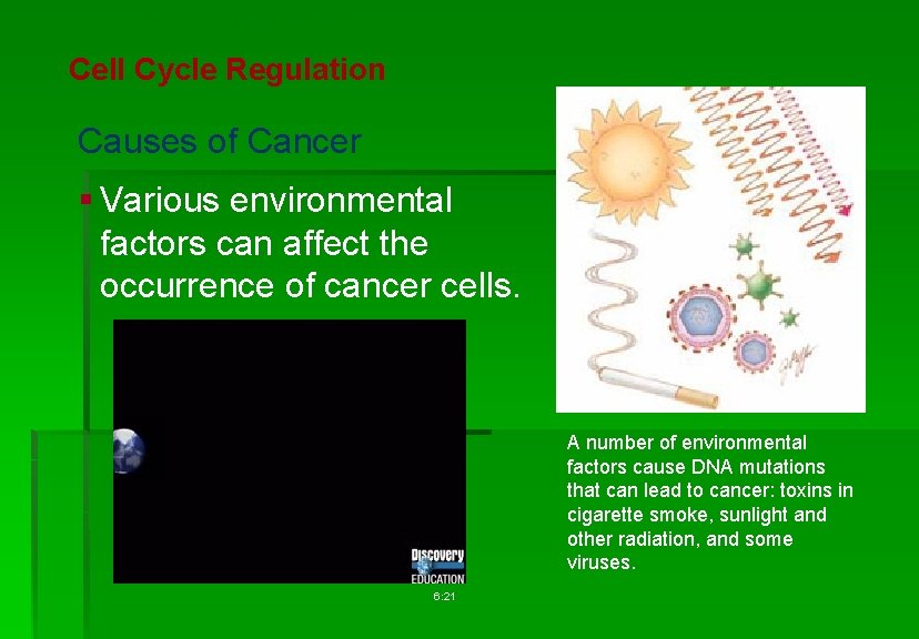 Cellular Reproduction Cell Cycle Regulation Causes of Cancer § Various environmental factors can affect