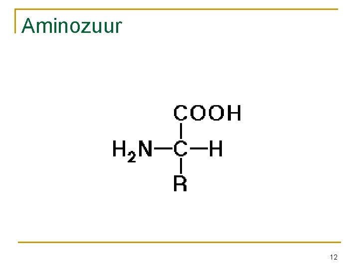 Aminozuur 12 