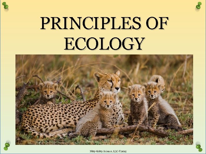 PRINCIPLES OF ECOLOGY 