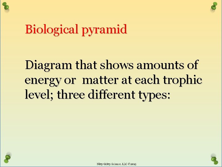 Biological pyramid Diagram that shows amounts of energy or matter at each trophic level;