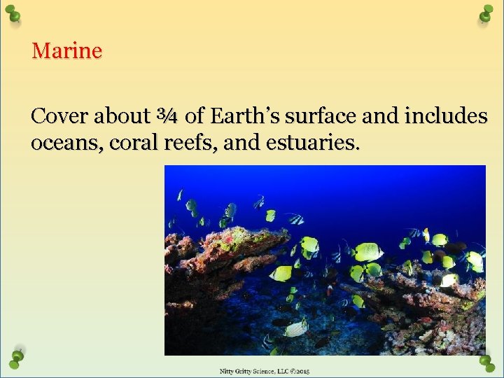 Marine Cover about ¾ of Earth’s surface and includes oceans, coral reefs, and estuaries.