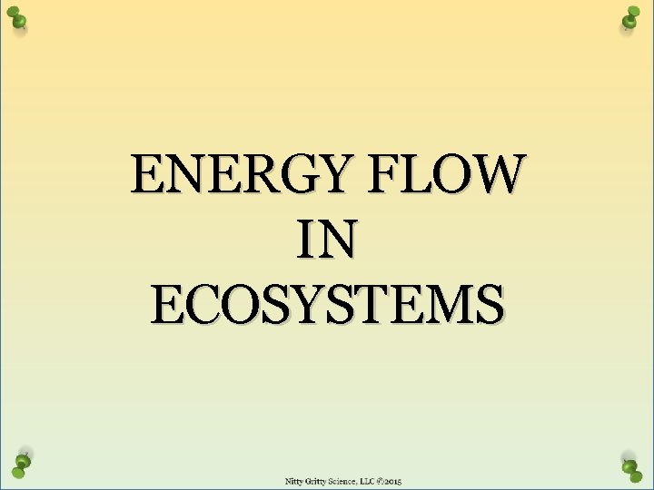 ENERGY FLOW IN ECOSYSTEMS 
