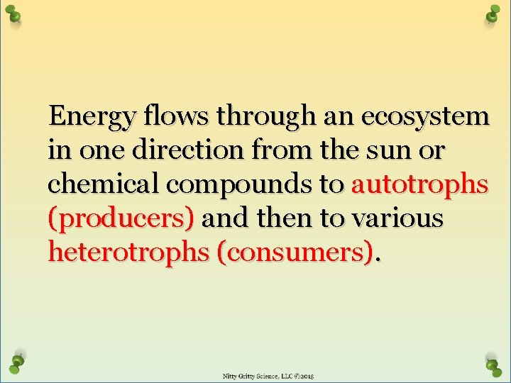 Energy flows through an ecosystem in one direction from the sun or chemical compounds