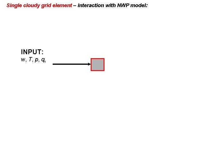 Single cloudy grid element – interaction with NWP model: INPUT: w, T, p, qv