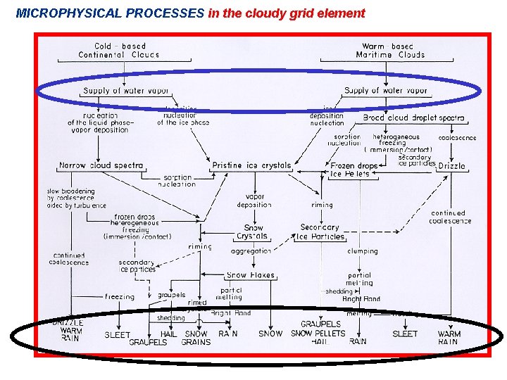 MICROPHYSICAL PROCESSES in the cloudy grid element 