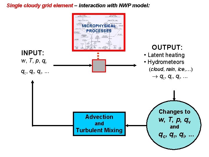 Single cloudy grid element – interaction with NWP model: MICROPHYSICAL PROCESSES OUTPUT: INPUT: •