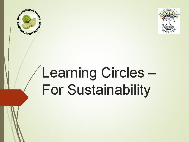 Learning Circles – For Sustainability 