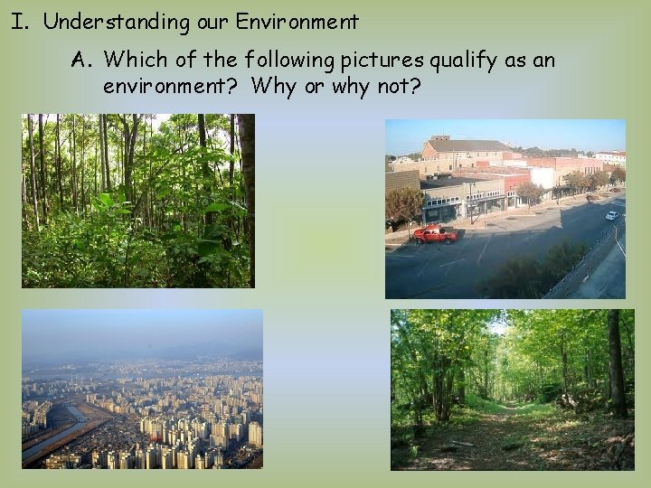 Explain If Environment BellringerSection 1 Notes 1 What is the environment