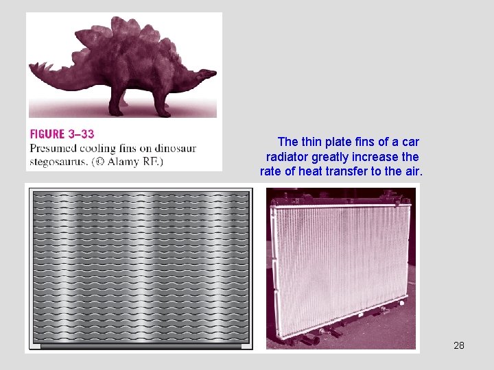 The thin plate fins of a car radiator greatly increase the rate of heat