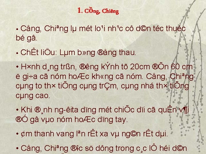 1. Cồng, Chiêng • Cång, Chiªng lµ mét lo¹i nh¹c cô d©n téc thuéc